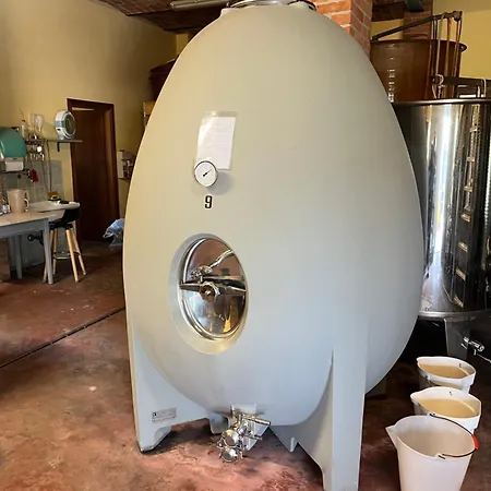 Apartment The Winemaker's House - La Collina La Casa *