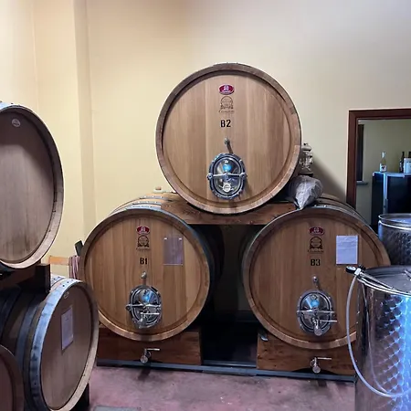 The Winemaker's House - La Collina La Casa Casa Berta