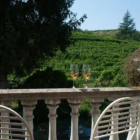 The Winemaker's House - La Collina La Casa