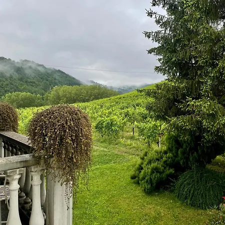 The Winemaker's House - La Collina La Casa Daire *