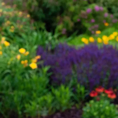 The Winemaker's House - La Collina La Casa * Casa Berta