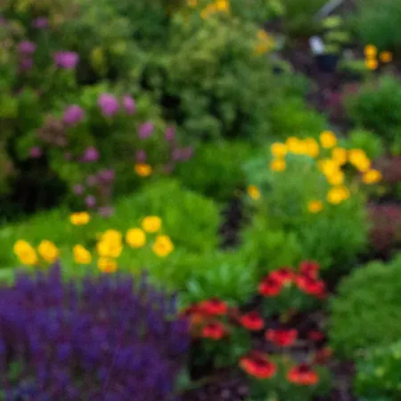 The Winemaker's House - La Collina La Casa