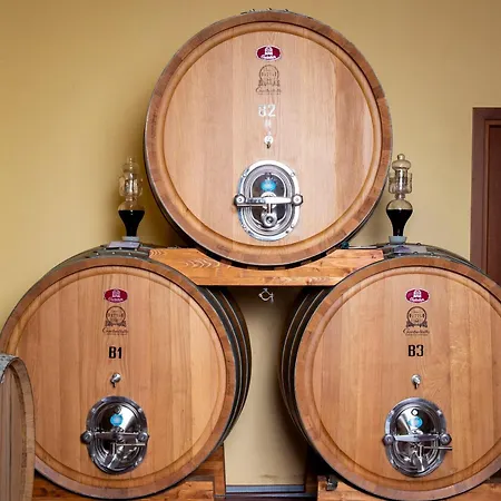 The Winemaker's House - La Collina La Casa Casa Berta