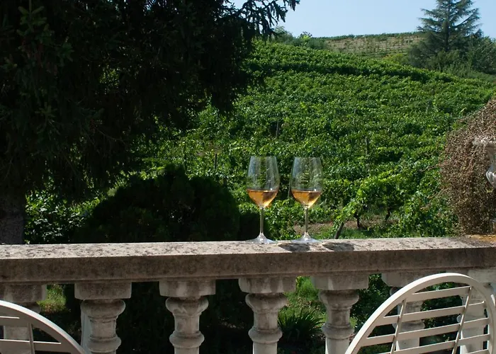 The Winemaker's House - La Collina La Casa