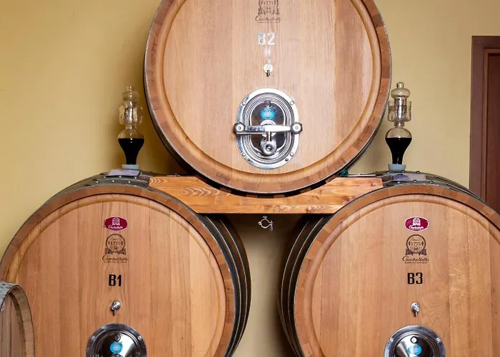 The Winemaker's House - La Collina La Casa Casa Berta