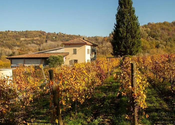 The Winemaker's House - La Collina La Casa *